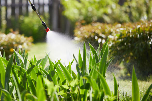 Tamper-Resistant Bait Stations for Rodents in East Patchogue